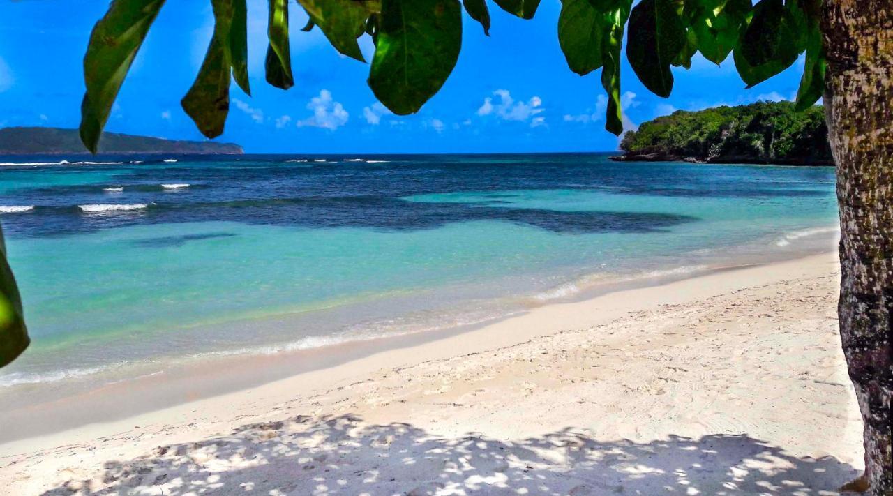 El Pelicano Apart-Hotel Las Galeras Dış mekan fotoğraf
