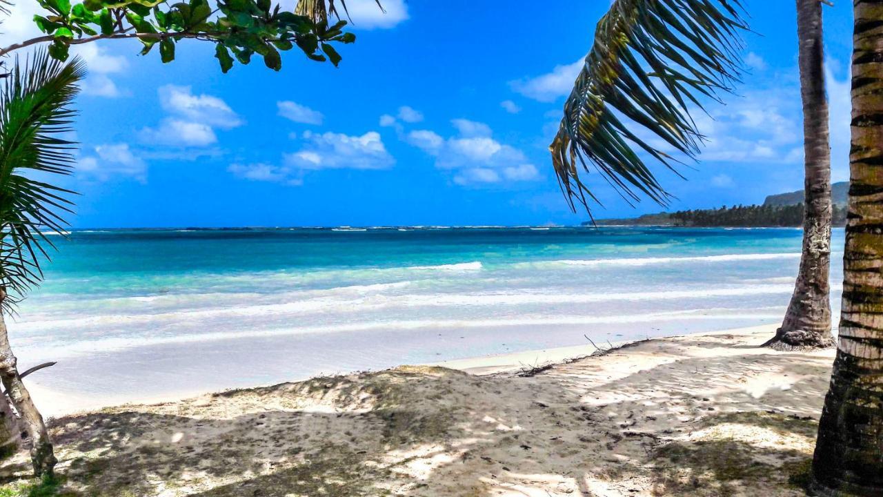 El Pelicano Apart-Hotel Las Galeras Dış mekan fotoğraf